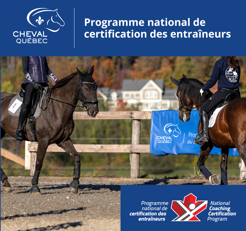 Entraîneur de compétition PNCE/CE Équitation classique au plat
